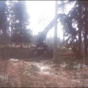 Metsän raivausta tulevan jäähallin tieltä